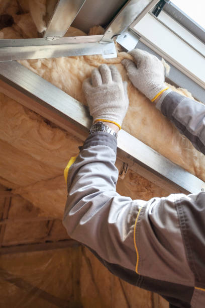 Best Local Insulation Services  in Lake Cherokee, TX