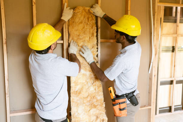 Best Cellulose Insulation  in Lake Cherokee, TX