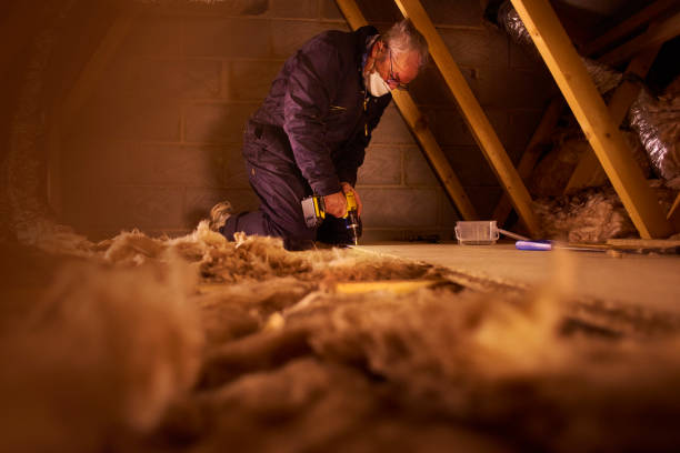 Best Insulation Contractor Near Me  in Lake Cherokee, TX
