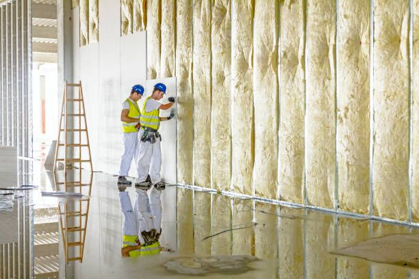 Best Garage Insulation Installation  in Lake Cherokee, TX